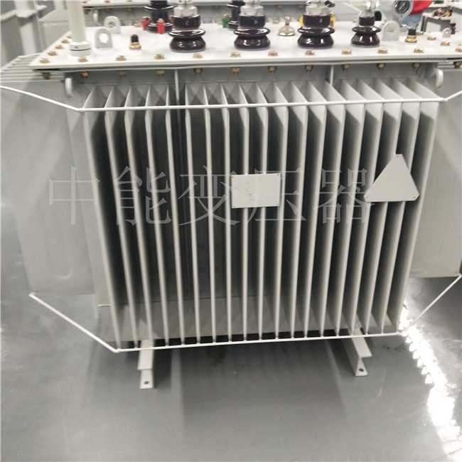 上海S20-800KVA变压器